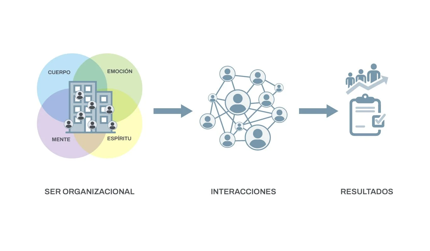 Asersentido - imagen del artículo