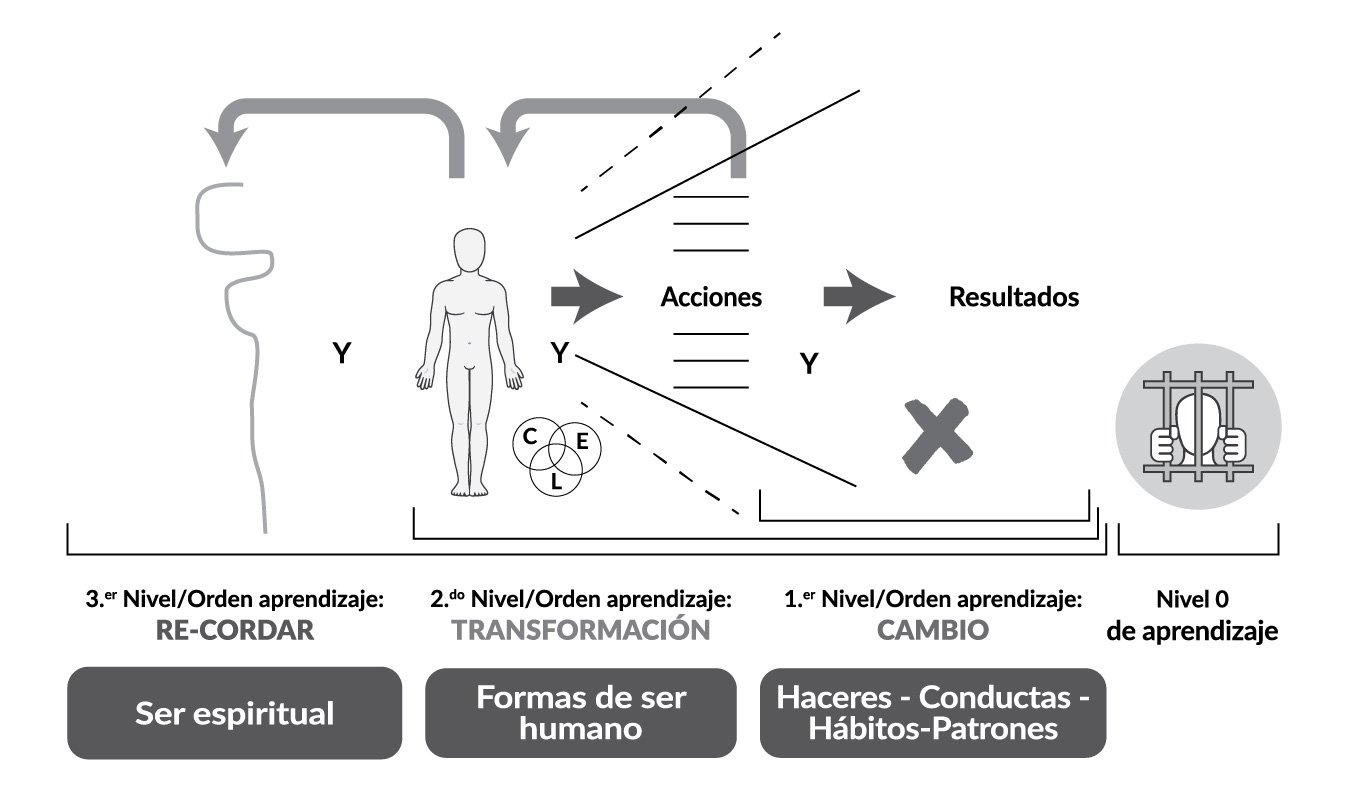 Asersentido - imagen del artículo